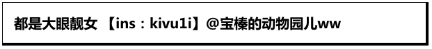 有谁不喜欢大眼萌妹呢！猫科就是坠屌的！